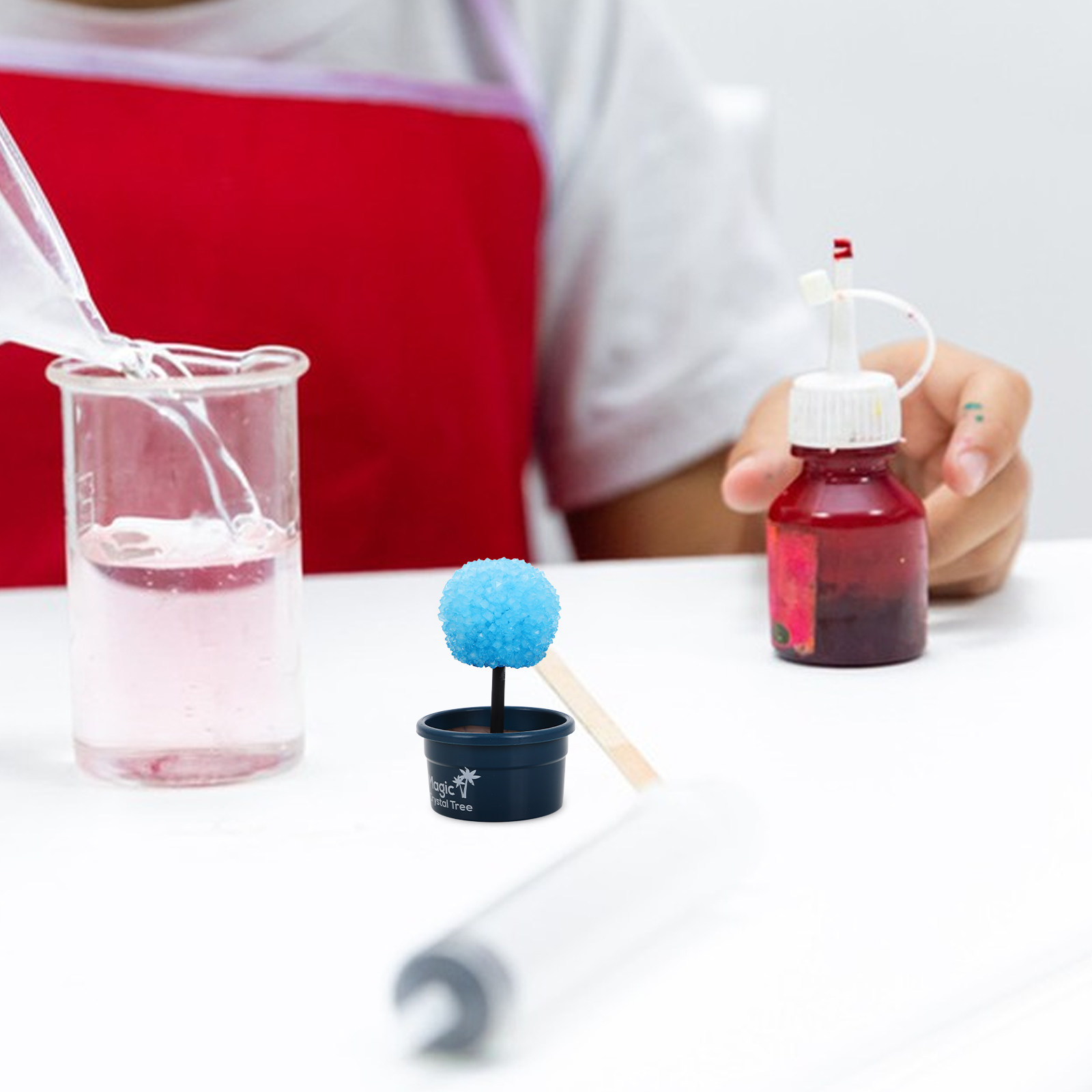 Science Project Kit - 1Set Crystal DIY Science Kit Fast
