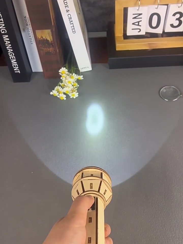 Wooden DIY Flashlight Puzzle K - Science Project Physics 리뷰 및 가격