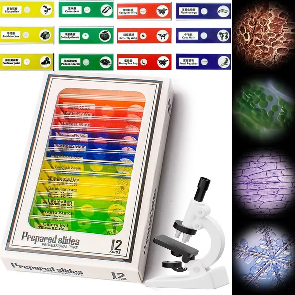 1Pcs 60-120X Pocket Microscope - Science Max 리뷰 및 가격