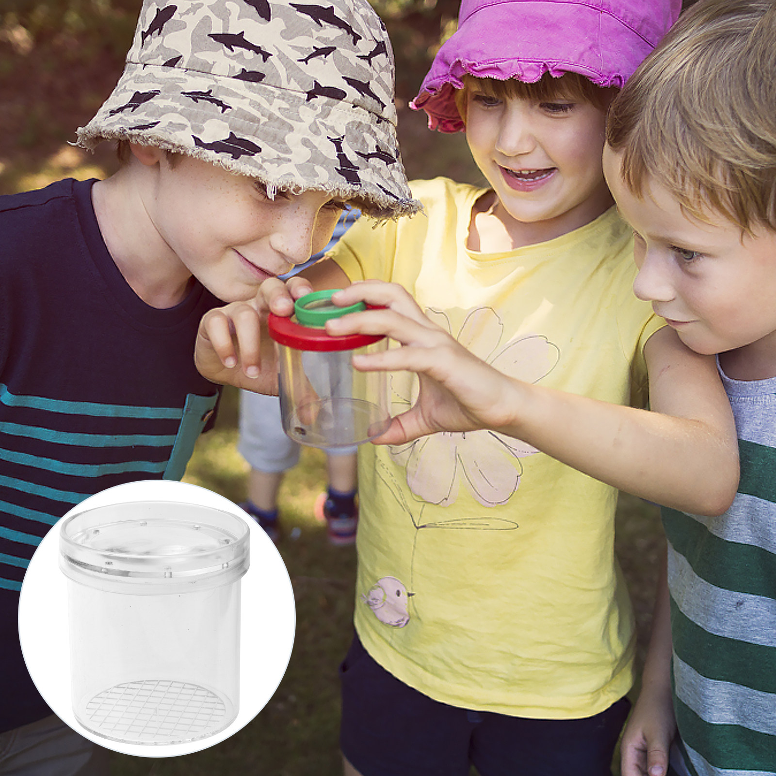 5Pcs Insect Viewer Box Kids Ex - Science Toy 리뷰 및 가격