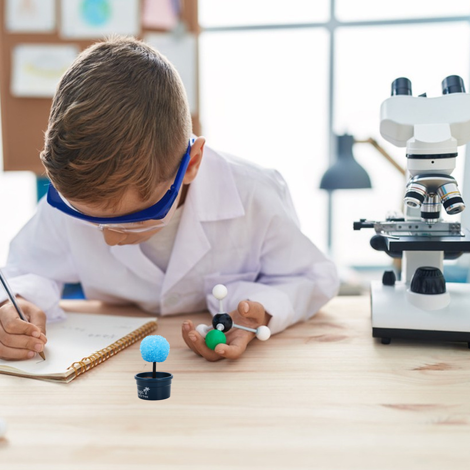 1Set Crystal DIY Science Kit F - Science Project Kit 리뷰 및 가격