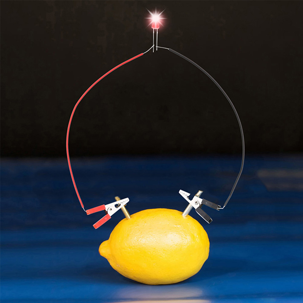 1Set Fruit Battery Science Exp - Science Project Physics 리뷰 및 가격