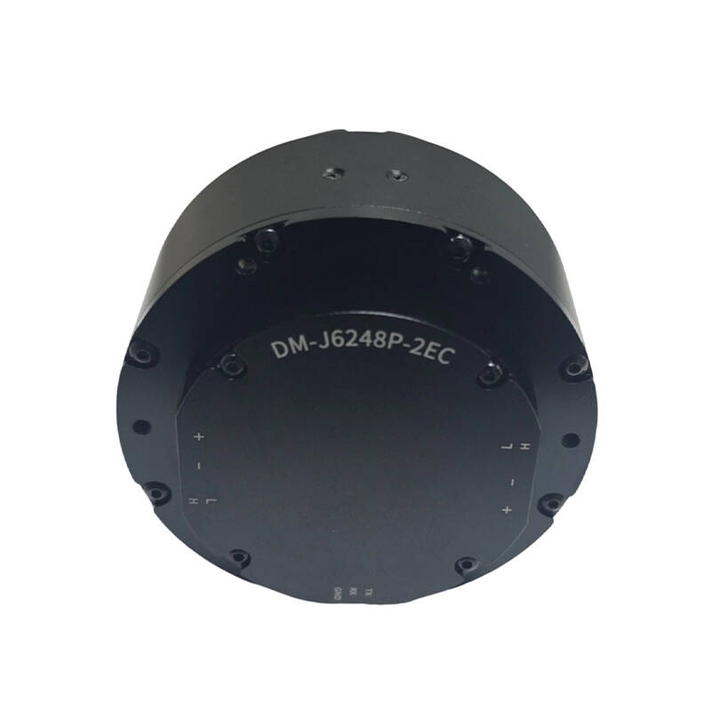 DAMIAO DM-J6248P-2EC Industria - Robot Arm Motor 리뷰 및 가격