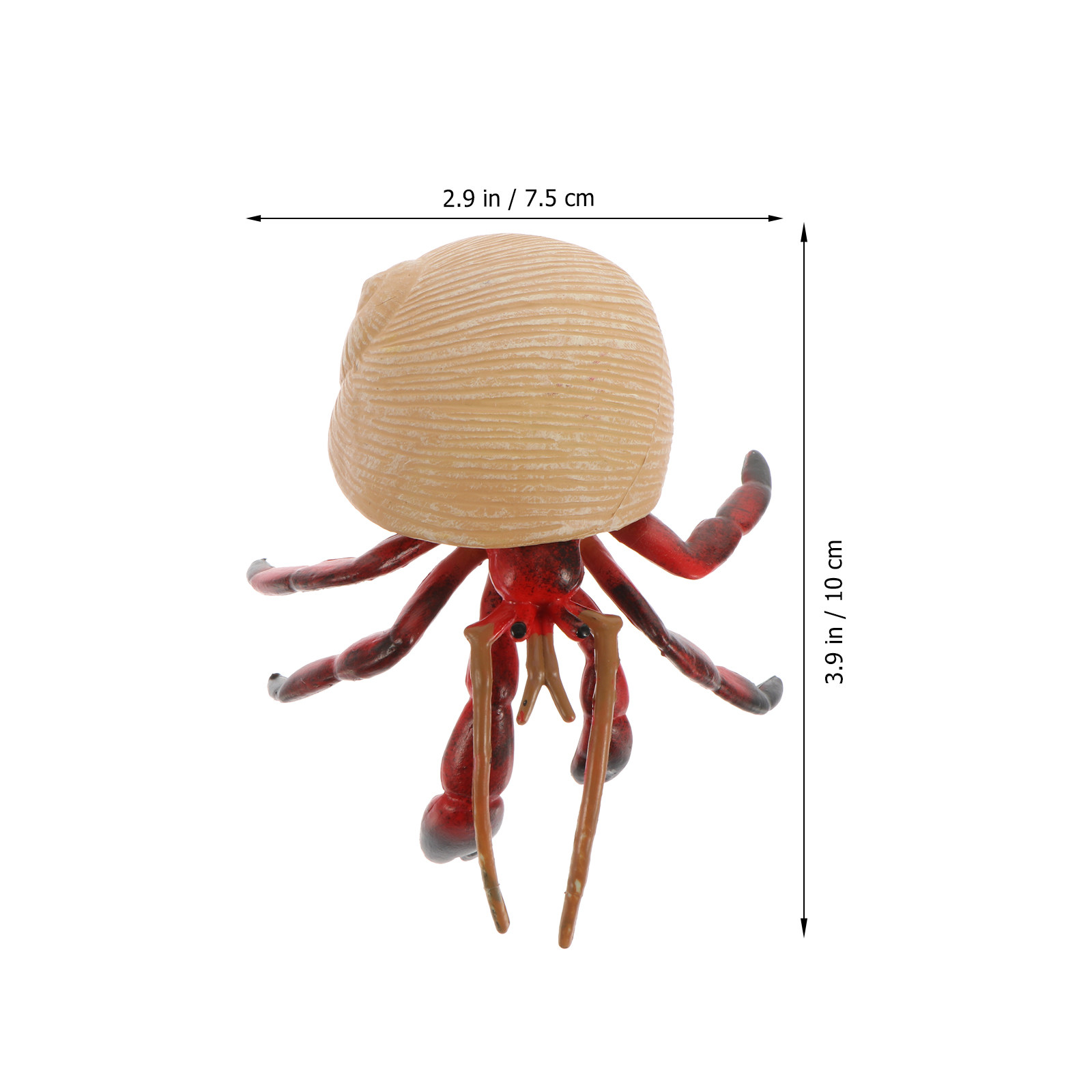 Compact Lightweight Realistic  - Science Toy 리뷰 및 가격