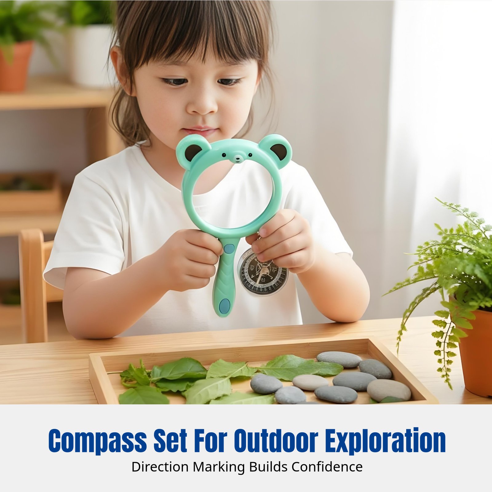Capybara Cartoon Magnifier & C - Science Toy 리뷰 및 가격