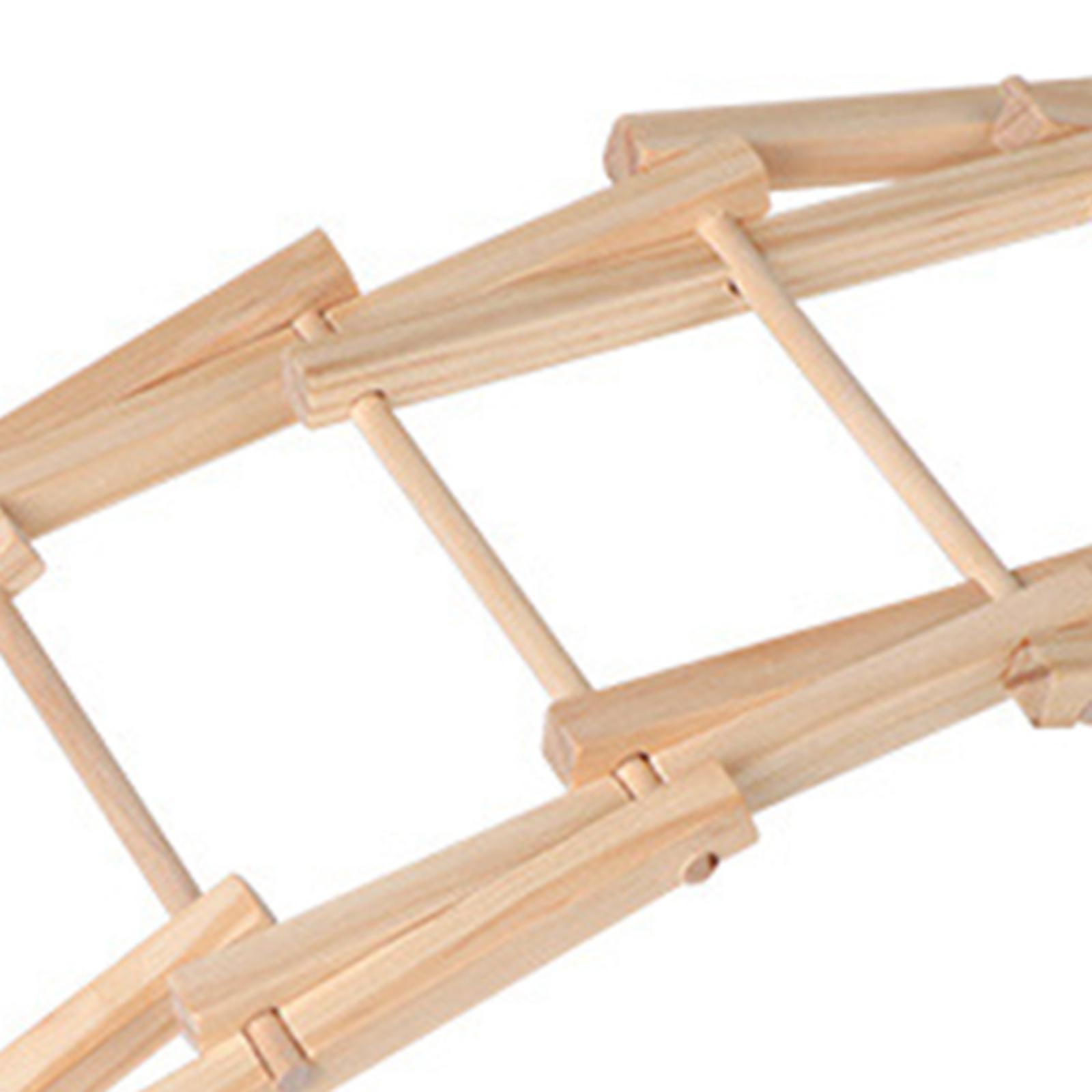 Wood Science Model Bridge (ass - Science Project Physics 리뷰 및 가격