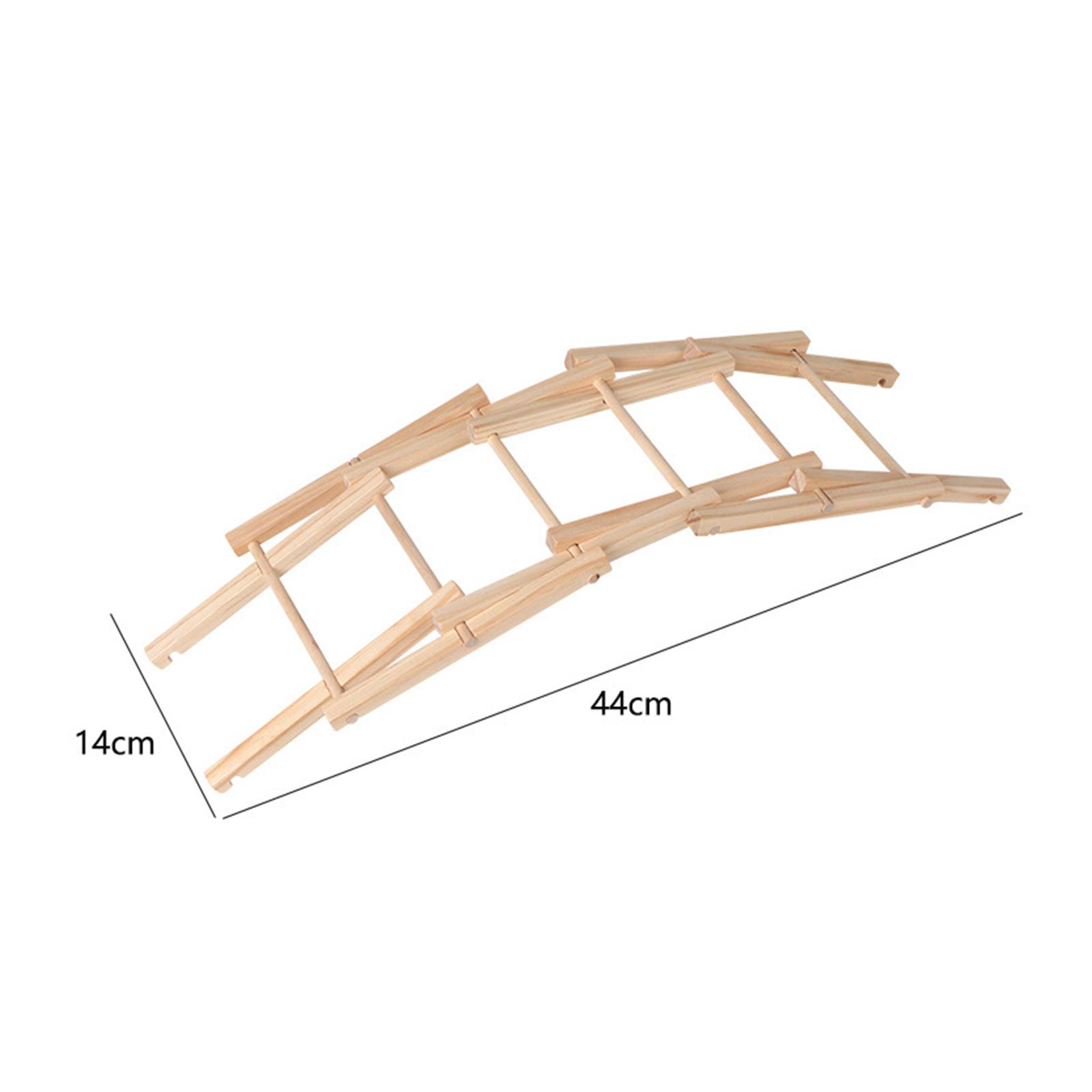 Wood Science Model Bridge (ass - Science Project Physics 리뷰 및 가격