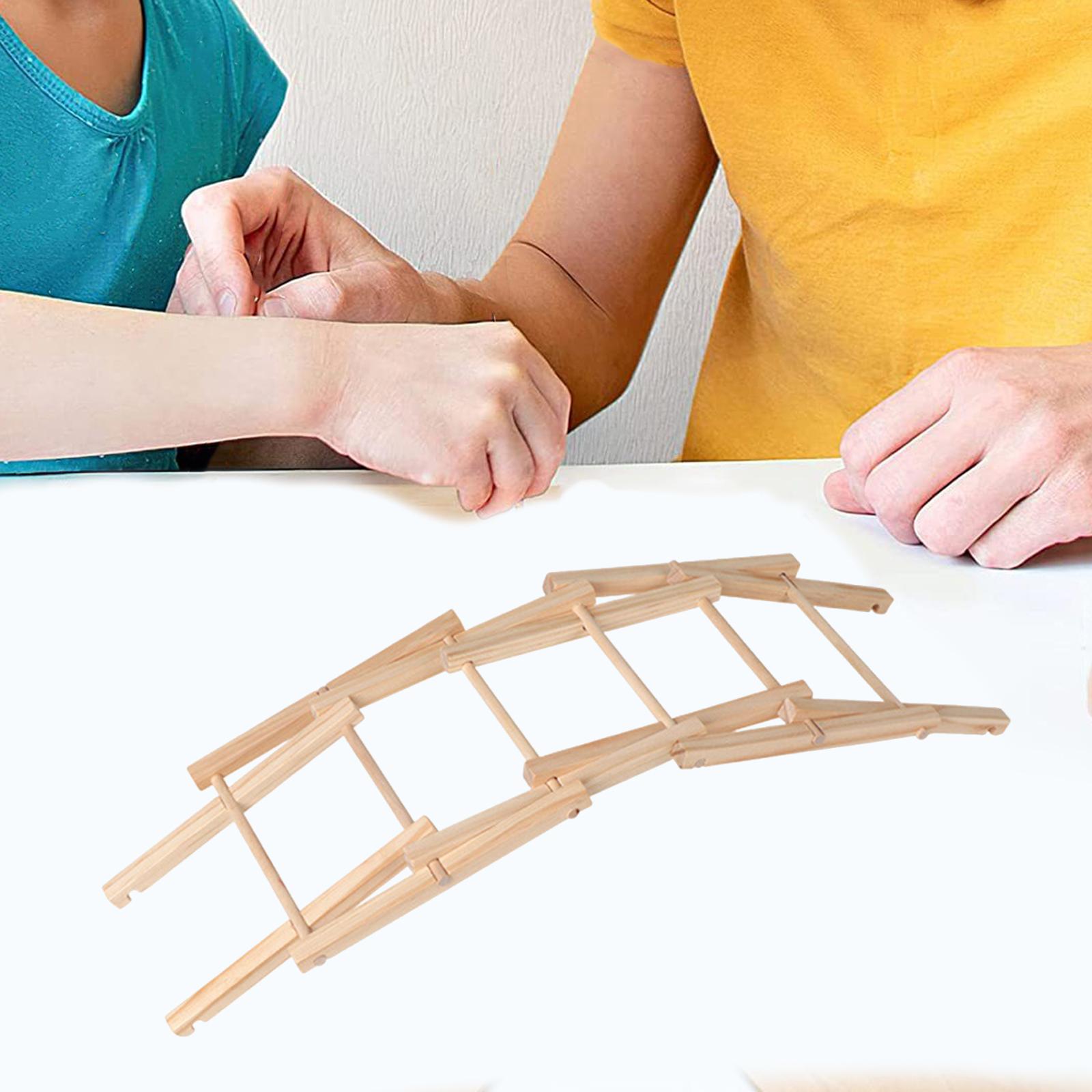 Wood Science Model Bridge (ass - Science Project Physics 리뷰 및 가격